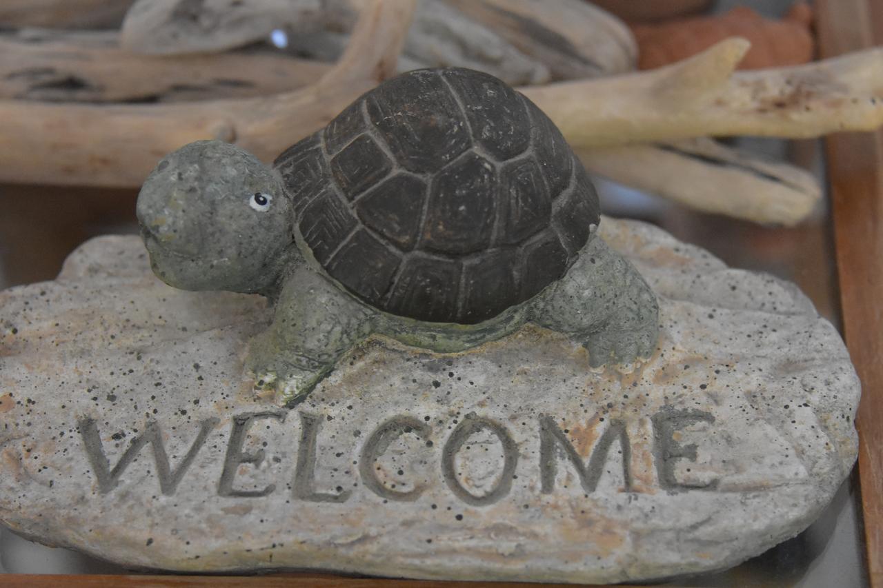 Virginia Hotel Samos Town Luaran gambar